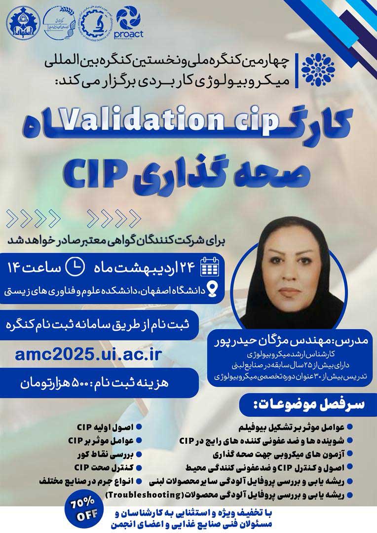کارگاه جانبی